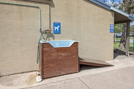 Reflections Eden - Holiday Park Отели рядом с достопримечательностью «Cat Balou Cruises»