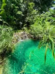 La Shamana - Ecological Concept in Jungle - piscine