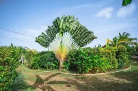 Romantic bungalow with private spa and communal pool  호텔