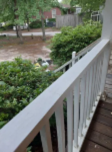 Charming 1-bedroom House 2 miles from Downtown Lexington - The Owlhouse Hotels in Lexington