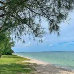 Cozy one bedroom and living room apartment in Balneário São Pedro