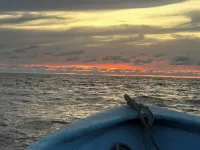 Triton Apartment, ground floor and pool