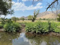 Meadowlands Cottage, Horse Ranch with Wood Burning Stove and a River, Hot Tub