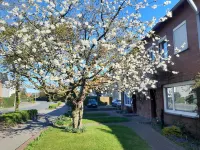 Beautiful ground floor apartment 65sqm, fully equipped with beautiful garden and terrace Hotels in Cloppenburg