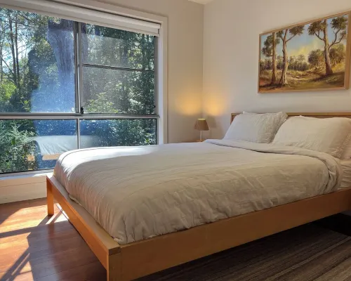 Rainforest retreat near Canyon Lookout & trails, mins to Springbrook wonders Hotels in Springbrook