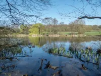Luxury Suite in CockfostersKick back and relax in this calm, stylish space.