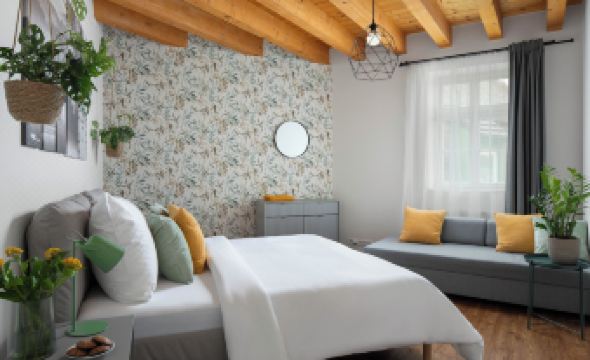 Zelný TRH Boutique Apartments #11 by Goodnite cz