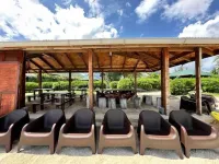 Bungalow Moorea Hotels in Afareaitu