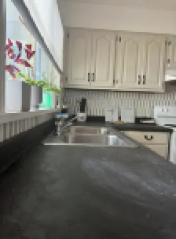 Boho 3-bedroom apt with fully supplied kitchen, WiFi, AC - Oldest Home in Oswego