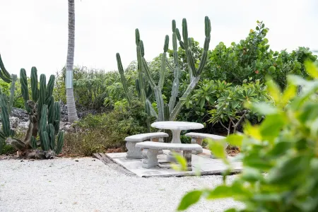 Peaceful Ocean Front Condo