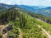 Cozy Forest Adventure Stay - 2 estrellas
