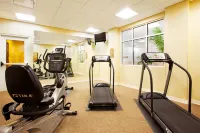 Holiday Inn BATTLE CREEK by IHG - Gym