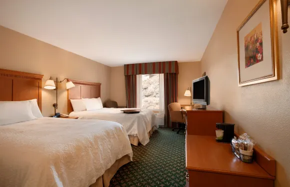 希爾頓歡朋酒店-卡農城