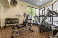 Quality Inn & Suites Bay Front فنادق في سولت سانت ماري