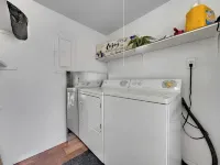 Silk Oak Tempe