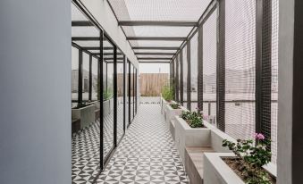 The Polo by Wynwood House