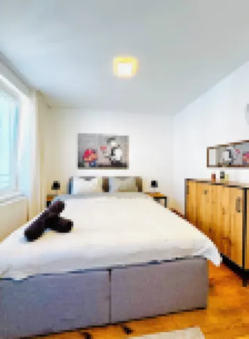 Comfortable Room Near Kaufpark Alterlaa