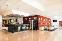 Marko Polo Maradiso Hotel by Aminess - bar