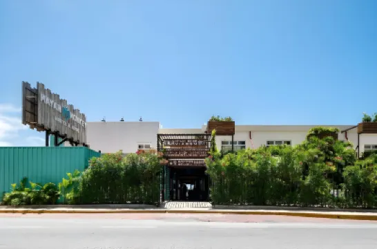 Mayan Monkey Cancun - Social Hotel Hotels near Zona Hotelera Cancun