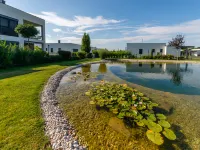 Apartment in Zsira near Thermal Spa - piscina