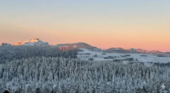 ペントハウス MW コートネイのホテル