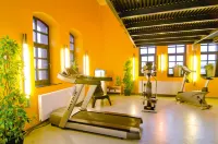 Offenbach Plaza Hotel - Fitnessstudio