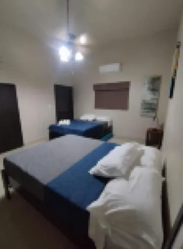 DGM 로프트 테크