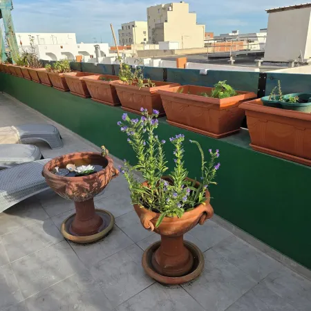 Charming 4room Apartment in the Heart of Sousse