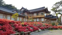 Gyeongju Cheonnyeon Hanok Pension - 家庭旅館