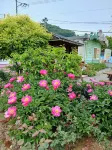 Cheongdo Aria Pension - 2 Sao
