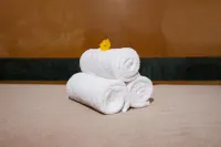 Park Plaza, Ludhiana - spa