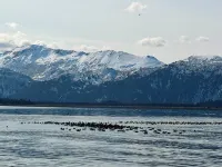 The Moosetide Hotel Hotels in Homer
