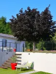 Villa  Air-Conditioned Swimming Pool Spa Boules Court Terraces Park Wifi - 8 People -  Holiday Villas
