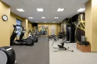 Hilton Garden Inn Chicago Downtown/Magnificent Mile - salle de sport
