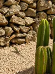 Hotel S'Algaret - 2-Sterne