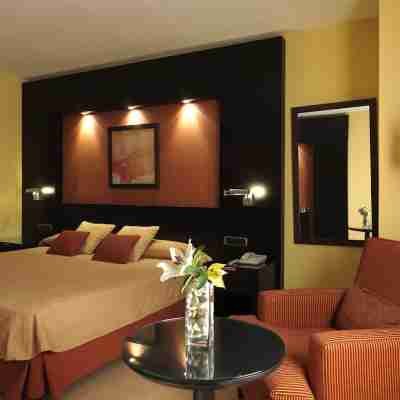 Intelier Rosa Rooms