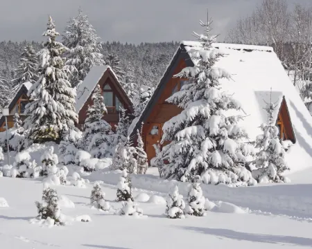 Tennenbronn Hotels in Schramberg