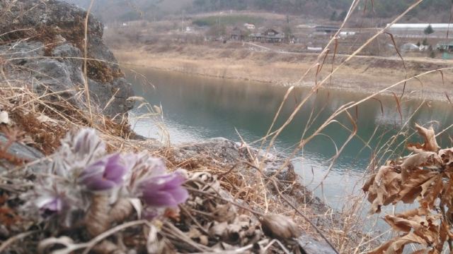 영월 동강반딧불이펜션