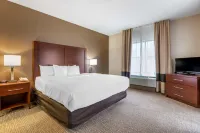 Comfort Inn Hotels in Shively