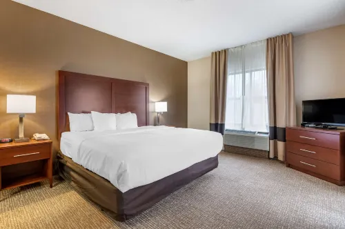 Comfort Inn Hotels in Shively