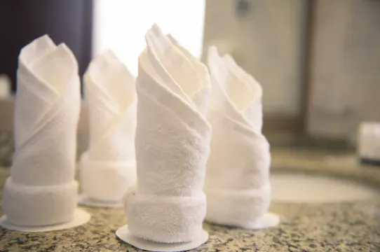 SAJA By Warwick Madinah Hotel Photos