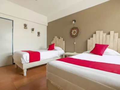 Hotel Allende 104 Các khách sạn ở 