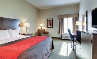 Comfort Inn Moss Point Pascagoula