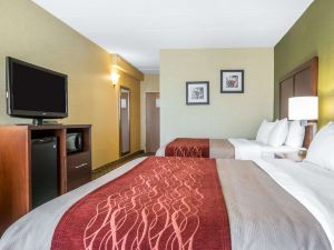 Comfort Inn - Winchester