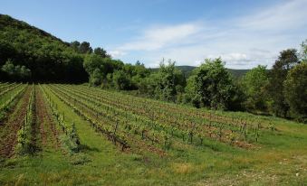 Chambres d´Hôtes Prieuré d'Orniols