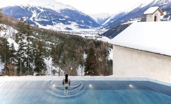 Alpen Hotel Chalet