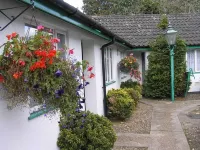 The Willow House - bar