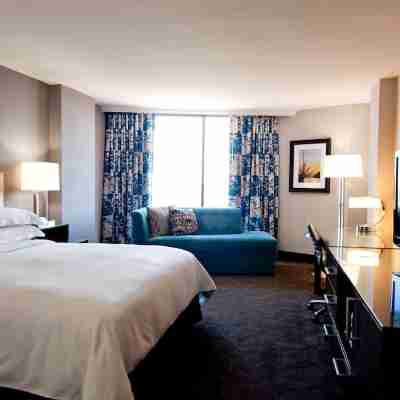 Hilton Arlington Rooms