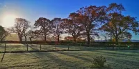 Dunroamin Apartment Hotels in Aberfoyle