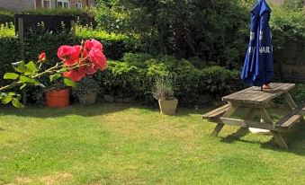 a lush green lawn with a picnic table , umbrellas , and potted plants in the background at The Old Pound Inn